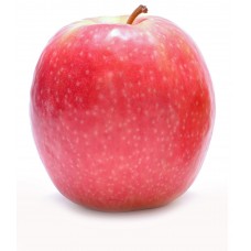 [8880001160717] תפוח פינק ליידי